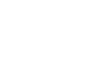 the_line_brochette_white_300