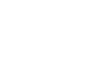 the_line_plancha_white_300